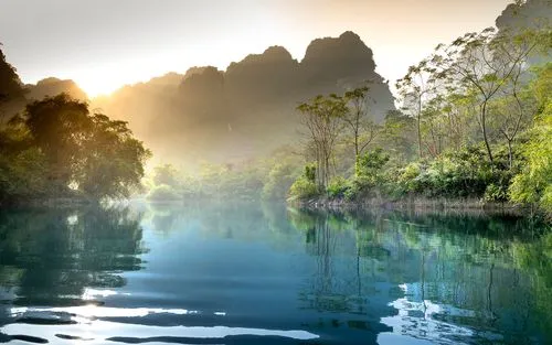 高端绿色